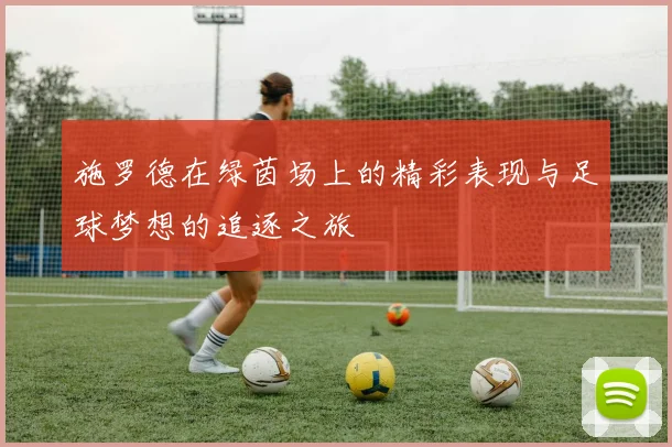 施罗德在绿茵场上的精彩表现与足球梦想的追逐之旅