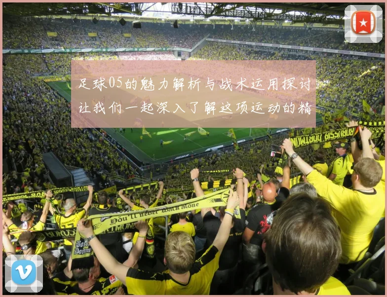 足球05的魅力解析与战术运用探讨让我们一起深入了解这项运动的精彩之处