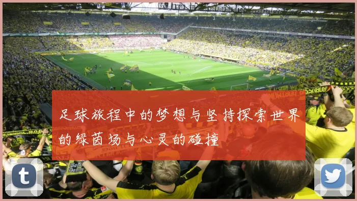 足球旅程中的梦想与坚持探索世界的绿茵场与心灵的碰撞