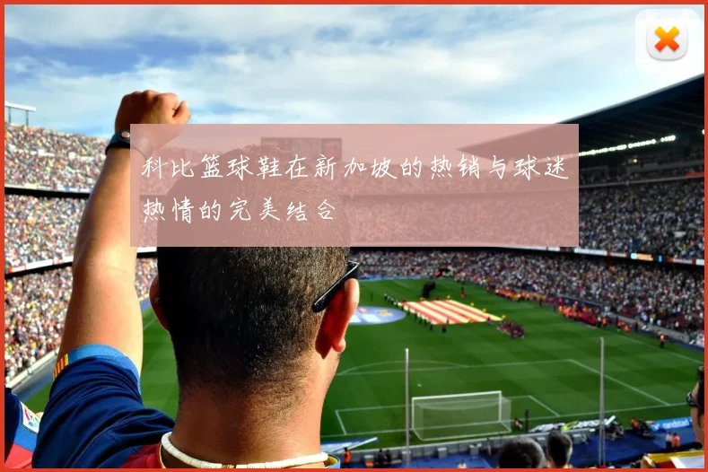 科比篮球鞋在新加坡的热销与球迷热情的完美结合
